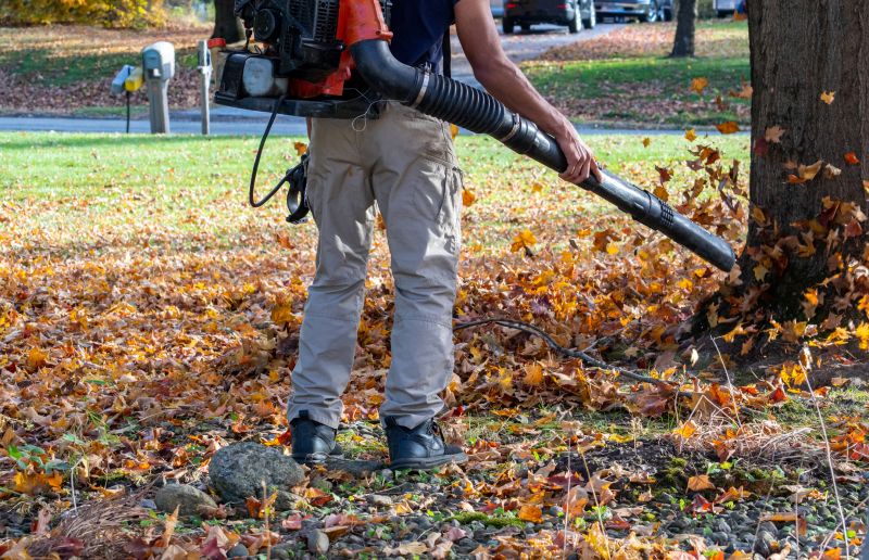 Leaf Vacuuming Service