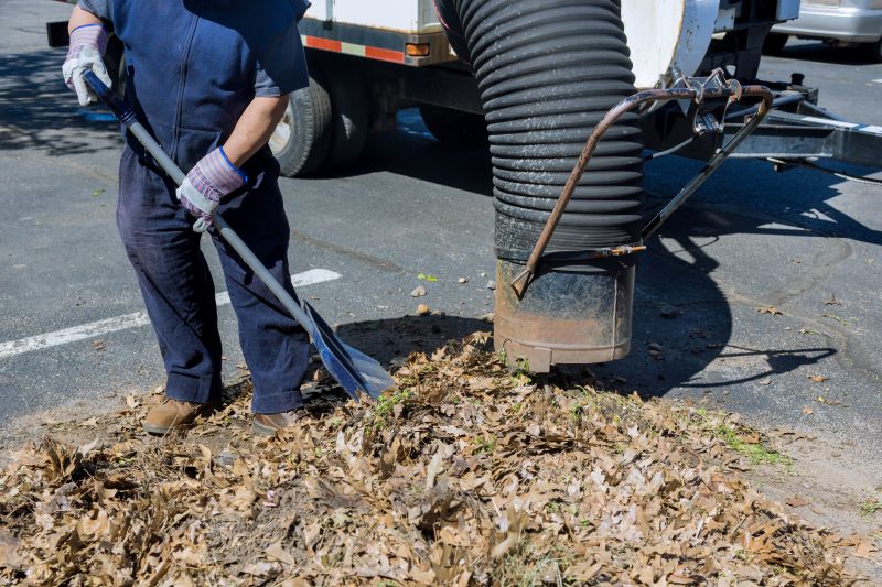 Leaf Vacuuming Service