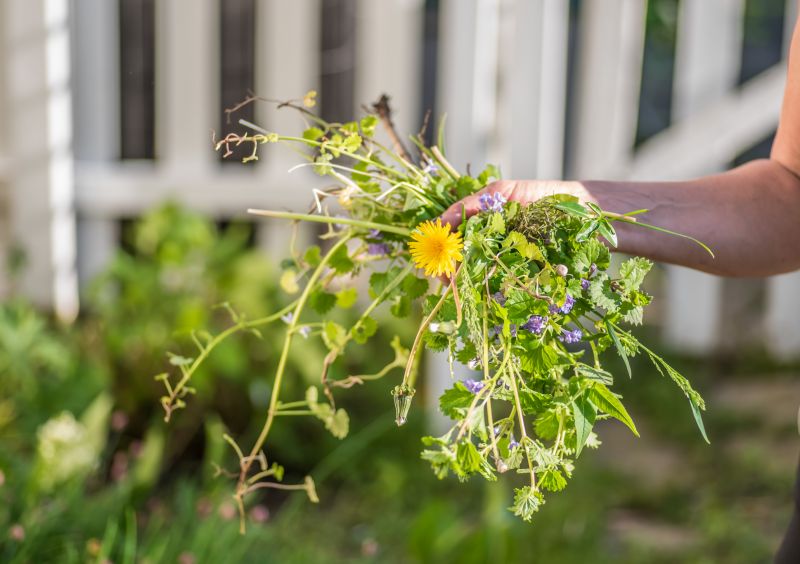 Landscaping Cleanup Service in Ventura County, CA