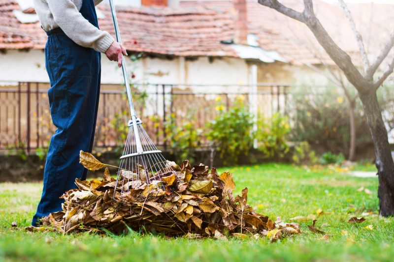 Lawn Cleanup Service in Ventura County, CA