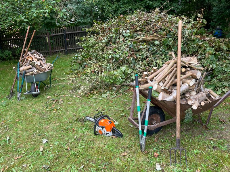 Lawn Debris Cleanup