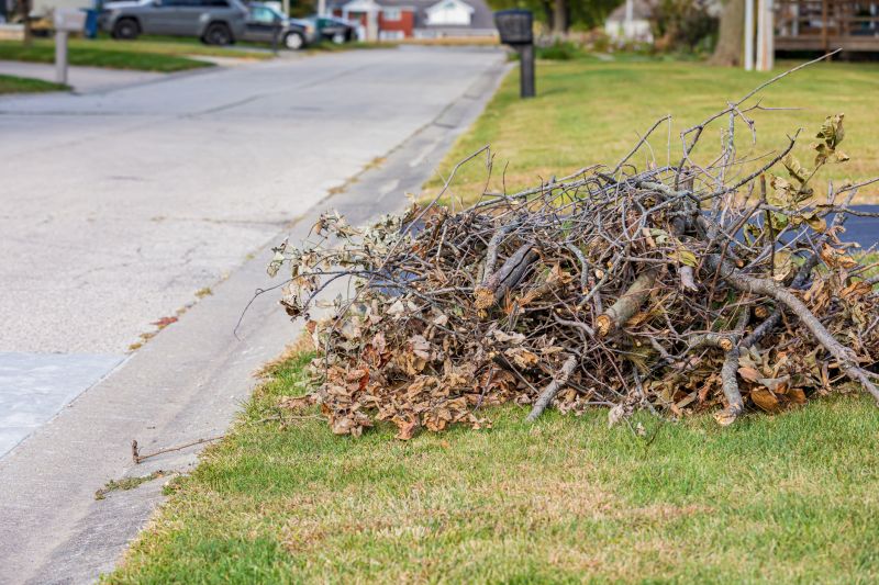 Lawn Debris Cleanup in Honolulu, HI