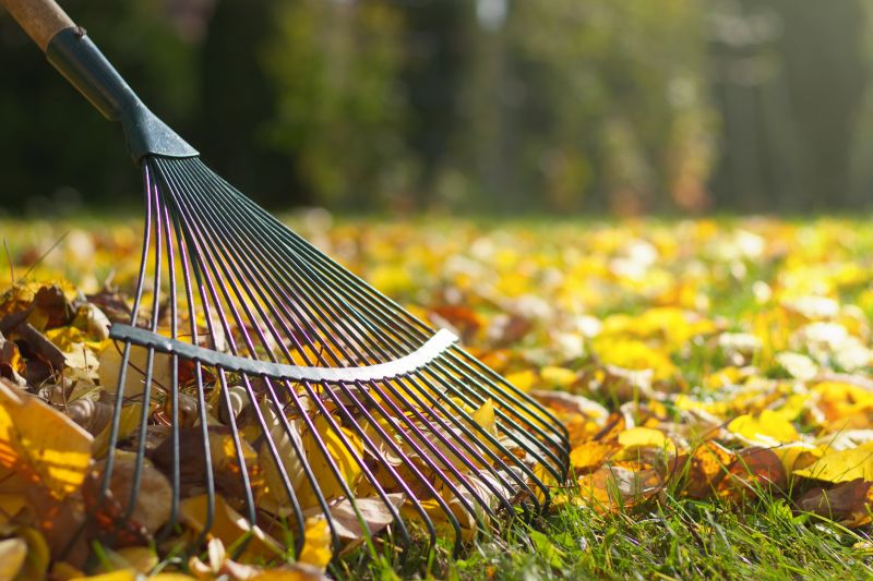 Leaf Raking Service in Honolulu, HI
