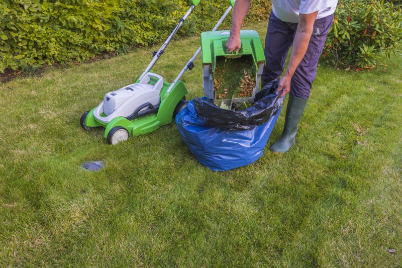 Leaves Vacuuming in Ventura County, CA