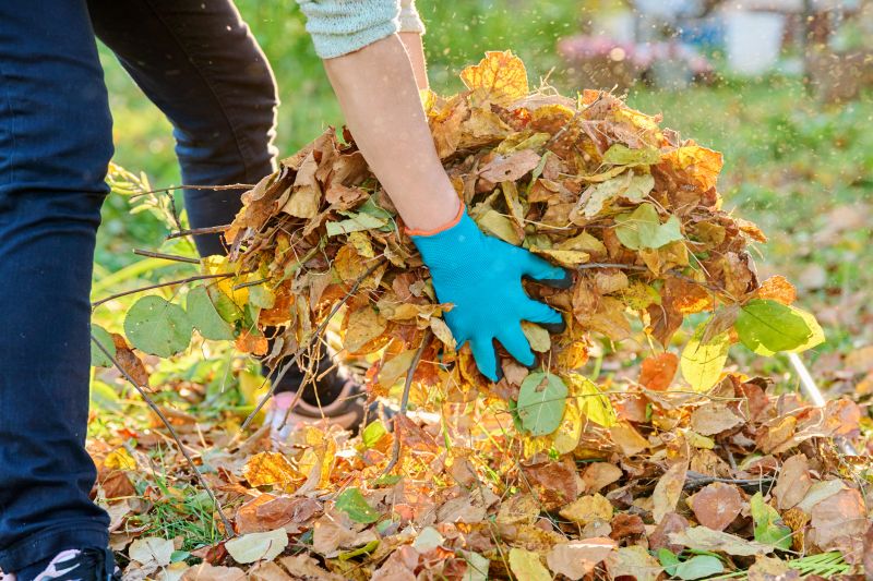 Leaves Vacuuming in Honolulu, HI