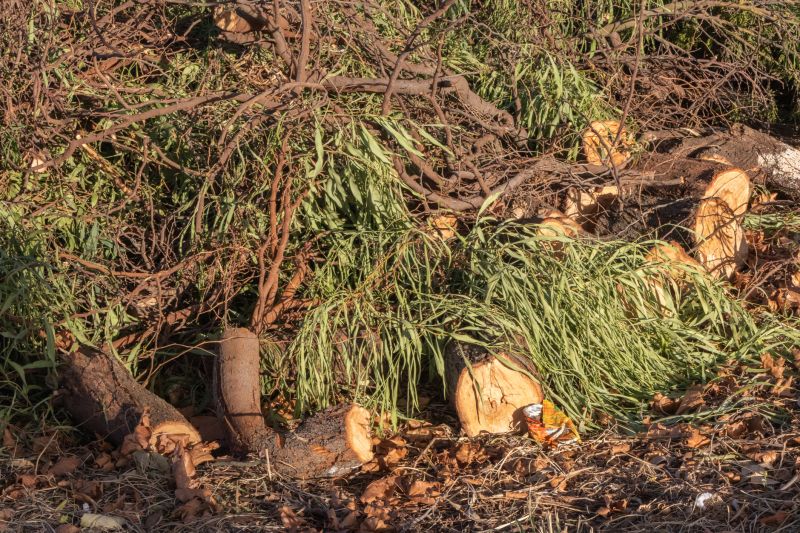Limbs Removal in Ventura County, CA