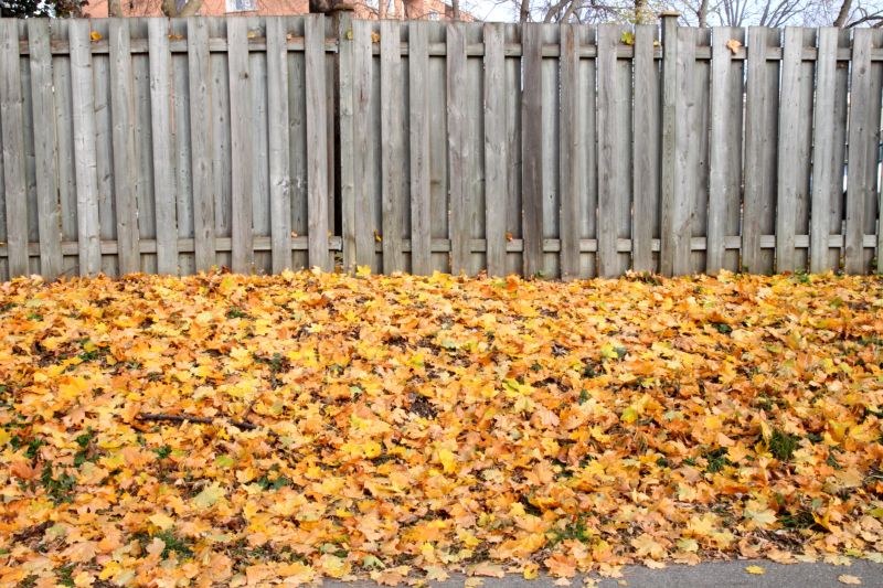Seasonal Lawn Maintenance in Ventura County, CA