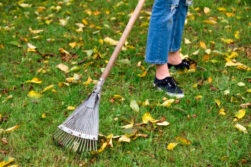 Seasonal Lawn Maintenance in Honolulu, HI