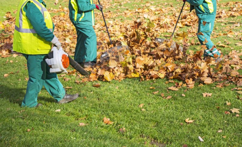 Seasonal Lawn Maintenance in Honolulu, HI