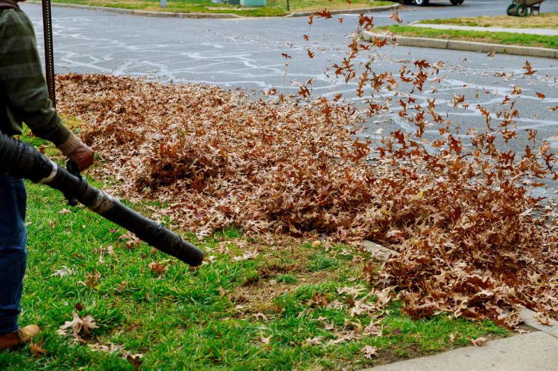 Spring Yard Clean Up Service in Honolulu, HI