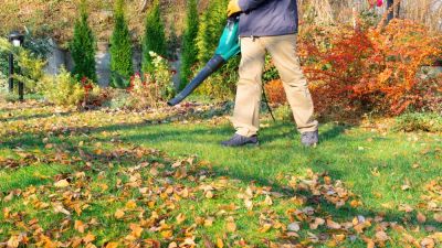 Create a Natural Fertilizer by Creating Fine Particles