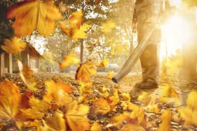 Reduce Leaf Collection Time