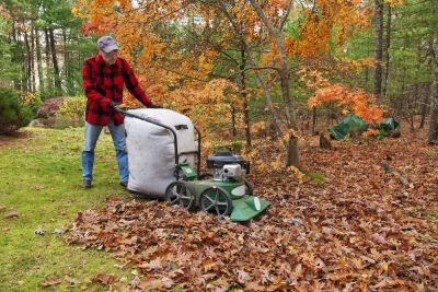 Remove Leaves Quickly
